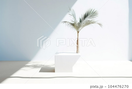 Light blue wall with shade and plant on the floor in a vase 104476270