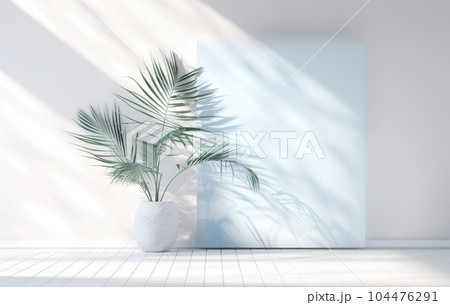 Light blue wall with shade and plant on the floor in a vase 104476291
