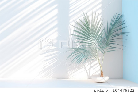 Light blue wall with shade and plant on the floor in a vase Light blue wall with shade and plant on the floor in a vase 104476322