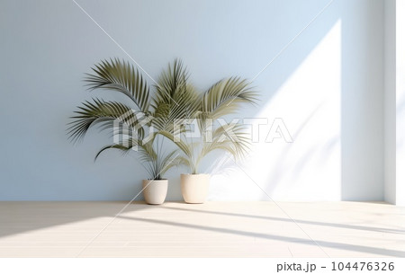 Light blue wall with shade and plant on the floor in a vase 104476326