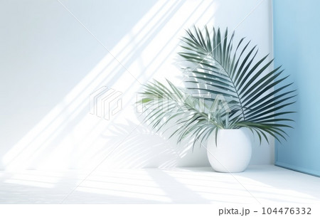 Light blue wall with shade and plant on the floor in a vase Light blue wall with shade and plant on the floor in a vase 104476332