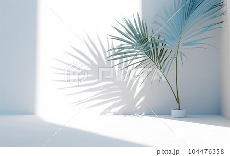 Light blue wall with shade and plant on the floor in a vase Light blue wall with shade and plant on the floor in a vase 104476358