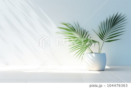Light blue wall with shade and plant on the floor in a vase Light blue wall with shade and plant on the floor in a vase 104476363