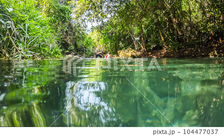 water surface stream and forest 104477037