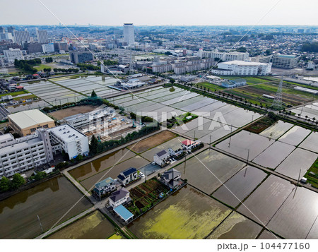 海老名の水田上空からの風景・・水田に水が入って美しい 海老名の水田上空からの風景・・水田に水が入って美しい 104477160