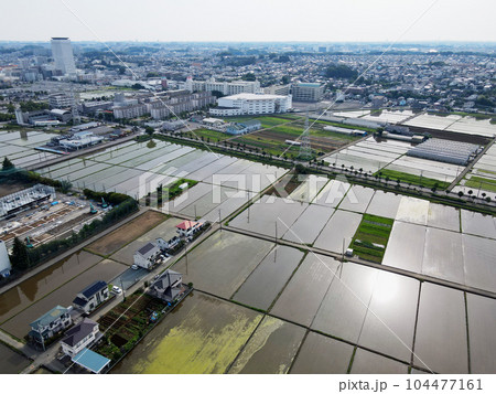 海老名の水田上空からの風景・・水田に水が入って美しい 104477161