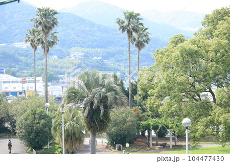新緑の公園の風景 新緑の公園の風景 104477430