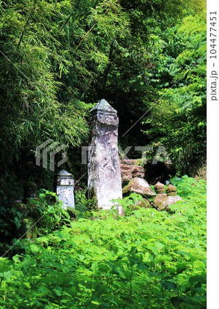 宇都の坂碑の自然風景 宇都の坂碑の自然風景 104477451