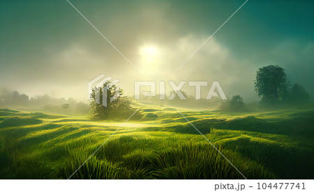 A field with green tall grass against the backdrop of a foggy forest and the sun behind the clouds. AI-generated 104477741