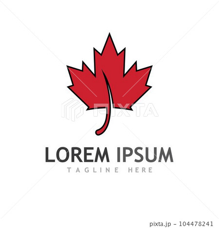 Maple leaf vector illustration 104478241