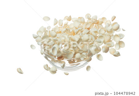 Seashell fall splashing in air. sea shell explosion flying, abstract cloud fly. Many Small white Seashell scatter in many group. White background isolated high speed shutter freeze motion Seashell fall splashing in air. sea shell explosion flying, abstract cloud fly. Many Small white Seashell scatter in many group. White background isolated high speed shutter freeze motion 104478942