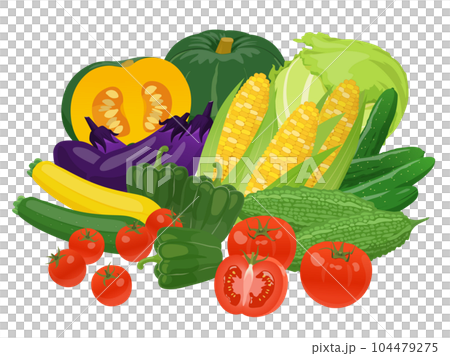 Illustration of summer vegetables 104479275