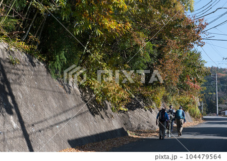 山梨県大月市の山梨百名山の秋(紅葉時期)の百蔵山のルート上の登山者と紅葉 山梨県大月市の山梨百名山の秋(紅葉時期)の百蔵山のルート上の登山者と紅葉 104479564
