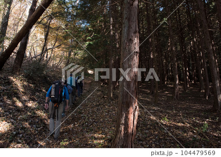 山梨県大月市の山梨百名山の秋(紅葉時期)の百蔵山のルートにの登山口付近の登山者と樹林 山梨県大月市の山梨百名山の秋(紅葉時期)の百蔵山のルートにの登山口付近の登山者と樹林 104479569