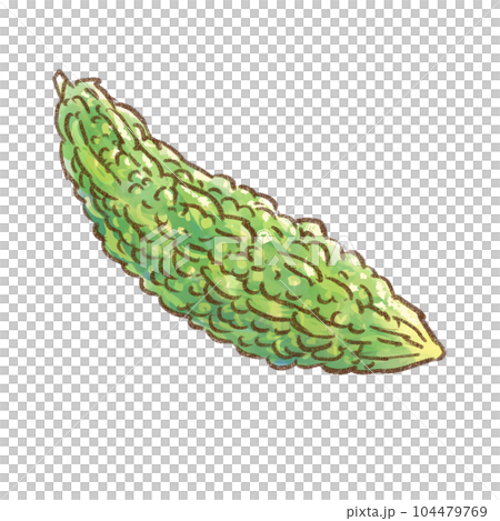 一整個苦瓜水彩風格（透明背景） 104479769