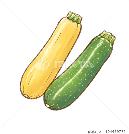 ズッキーニ（黄色と緑）2本　水彩画風（背景透過）	 104479773