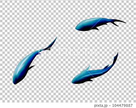 Watercolor illustration of a simple and mysterious blue fish seen from above 104479887