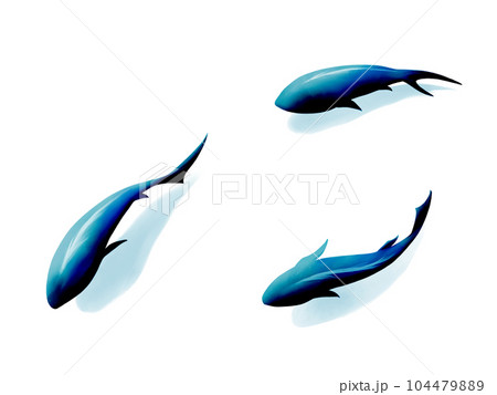 上から見たシンプルで神秘的な青い魚の水彩イラスト(影あり) 上から見たシンプルで神秘的な青い魚の水彩イラスト(影あり) 104479889