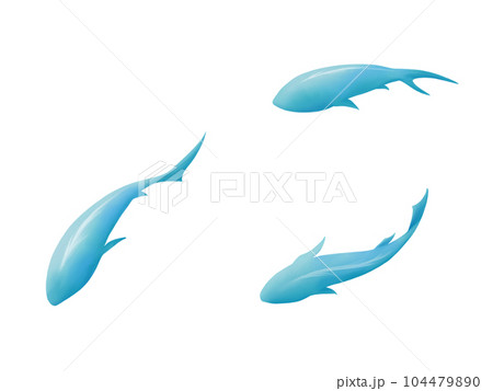 上から見たシンプルでさわやかな水色の魚の水彩イラスト 104479890