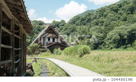 夏の白川郷 104480196