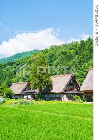 夏の白川郷 104480201