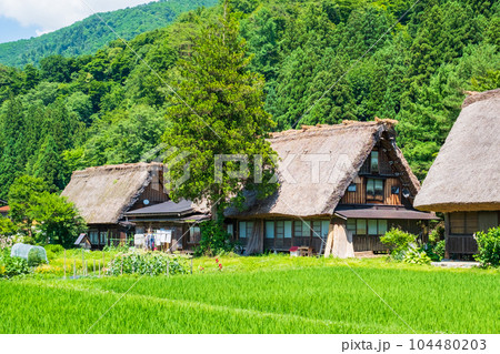 夏の白川郷 夏の白川郷 104480203