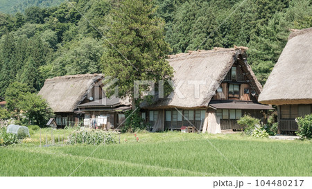 夏の白川郷 104480217