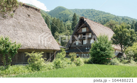 夏の白川郷 104480221