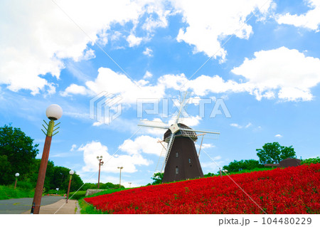 【大阪府】7月・青空と風車 104480229