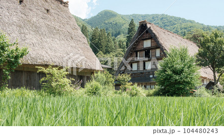 夏の白川郷 夏の白川郷 104480243