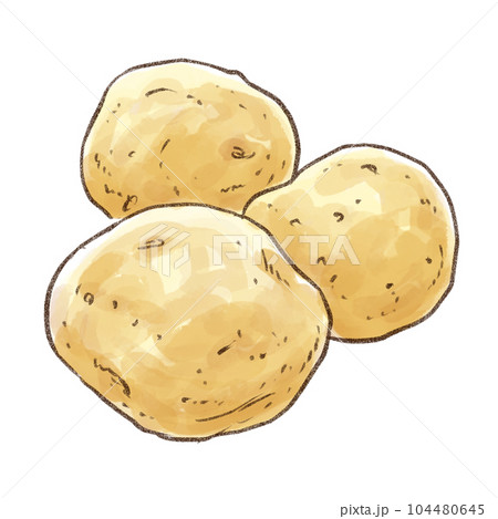 新じゃがいも3個 水彩画風（背景透過）のイラスト素材 [104480645] - PIXTA