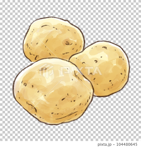 新じゃがいも3個 水彩画風（背景透過）のイラスト素材 [104480645] - PIXTA