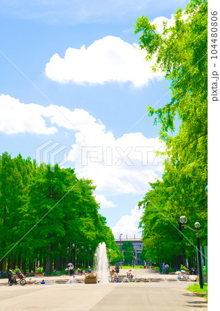 【大阪府】7月・爽やかな青空の下で、子供達が水遊び 【大阪府】7月・爽やかな青空の下で、子供達が水遊び 104480806