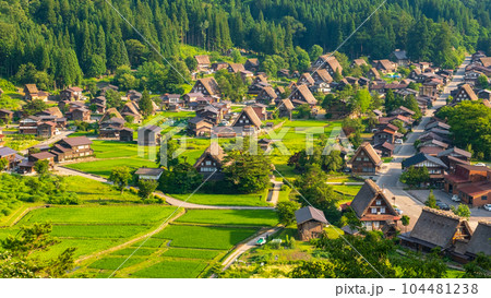 夏の白川郷(夕景) 夏の白川郷(夕景) 104481238