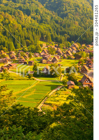 夏の白川郷（夕景） 104481265