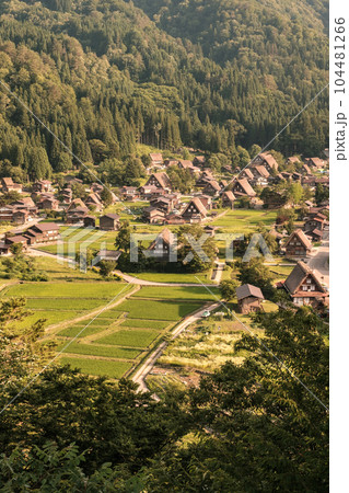 夏の白川郷(夕景) 夏の白川郷(夕景) 104481266