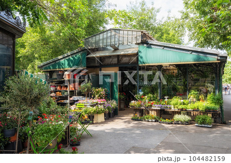 Flowers and plant shop in paris 104482159