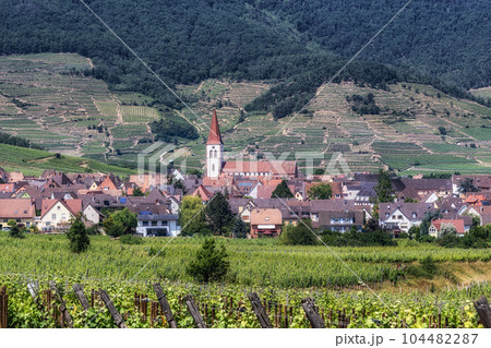 Ammerschwihr alsatian vineyards 104482287