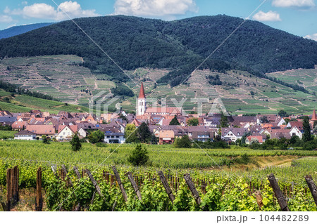 Ammerschwihr alsatian vineyards 104482289