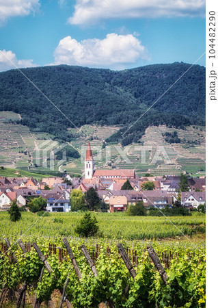 Ammerschwihr alsatian vineyards 104482290