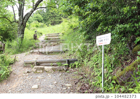 立雲峡 第1展望台から立雲峡テラスまで1分（兵庫県 朝来市 竹田城跡） 104482373