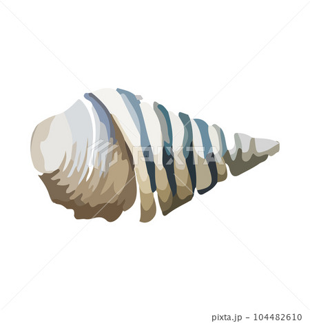 Vector Seashell watercolor illustration. Hand drawn underwater element design. Artistic vector marine design element. Illustration for greeting cards, printing and other design projects. Vector Seashell watercolor illustration. Hand drawn underwater element design. Artistic vector marine design element. Illustration for greeting cards, printing and other design projects. 104482610