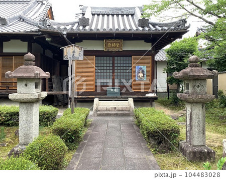 京都竹田安楽寿院の子猫 104483028