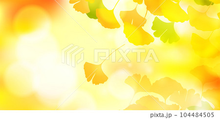 紅葉 イチョウ 秋 背景 紅葉 イチョウ 秋 背景 104484505