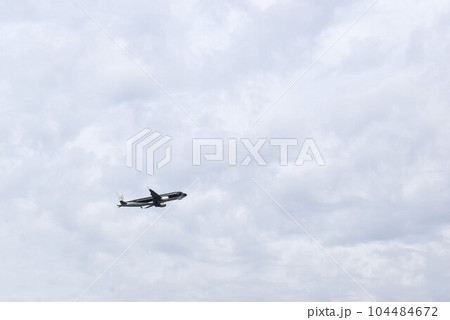 空飛ぶシャチ 空飛ぶシャチ 104484672