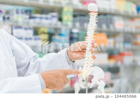 薬局で骨格模型を使って服薬指導する薬剤師・調剤師 薬局で骨格模型を使って服薬指導する薬剤師・調剤師 104485066