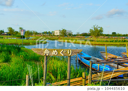 (千葉県)水郷佐原あやめパーク・舟めぐり 夕景 (千葉県)水郷佐原あやめパーク・舟めぐり 夕景 104485610