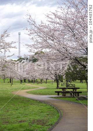 桜咲く頃の狭山公園 104485762