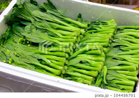 香港の市場で売られるカイラン(菜心)。最もポピュラーで香港人が好きな野菜 香港の市場で売られるカイラン(菜心)。最もポピュラーで香港人が好きな野菜 104486701