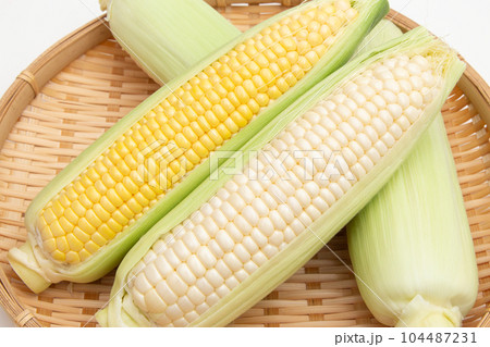 トウモロコシ（白色と黄色） 104487231